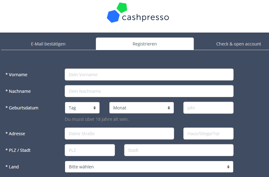 Das ausgefüllte Antragsformular bei Cashpresso