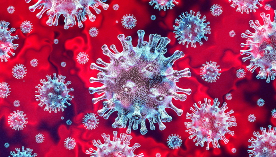 Coronavirus: keine Ansteckungsgefahr durch Digitalkredit. Bildquelle: freshidea/stock.adobe.com